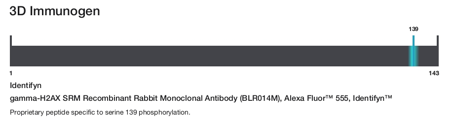 gamma-H2AX SRM Recombinant Rabbit Monoclonal Antibody (BLR014M), Alexa Fluor&trade; 555, Identifyn&trade;