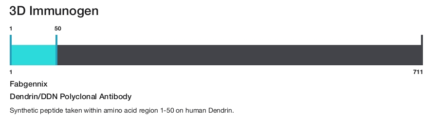 Dendrin/DDN Polyclonal Antibody