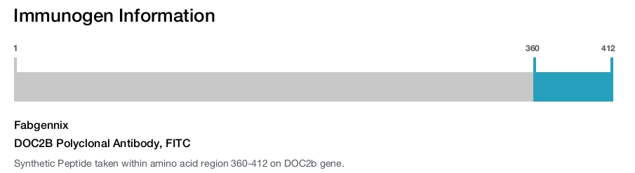DOC2B Polyclonal Antibody, FITC