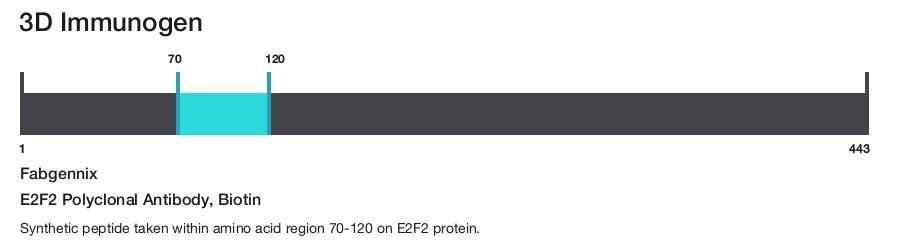 E2F2 Polyclonal Antibody, Biotin