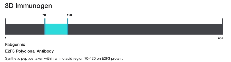 E2F3 Polyclonal Antibody
