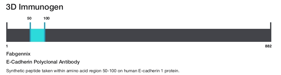 E-Cadherin Polyclonal Antibody