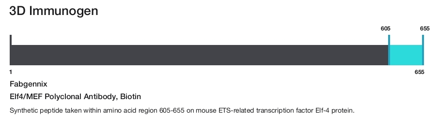 Elf4/MEF Polyclonal Antibody, Biotin