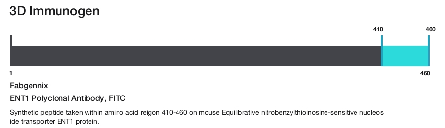 ENT1 Polyclonal Antibody, FITC