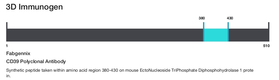 CD39 Polyclonal Antibody