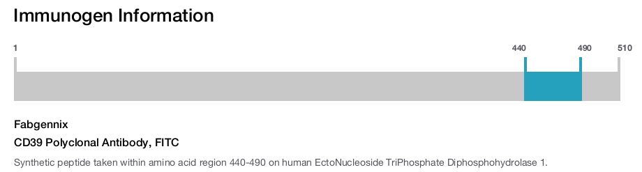 CD39 Polyclonal Antibody, FITC