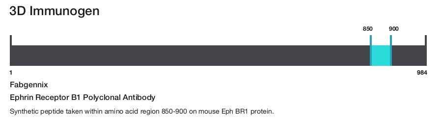 Ephrin Receptor B1 Polyclonal Antibody