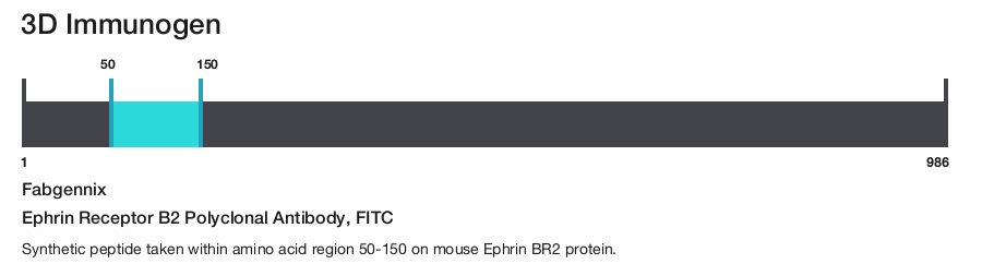 Ephrin Receptor B2 Polyclonal Antibody, FITC