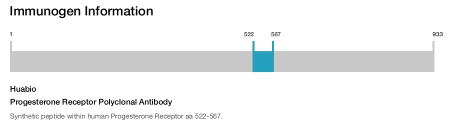 Progesterone Receptor Polyclonal Antibody