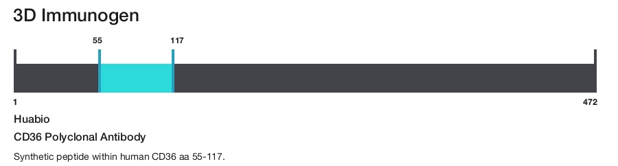 CD36 Polyclonal Antibody