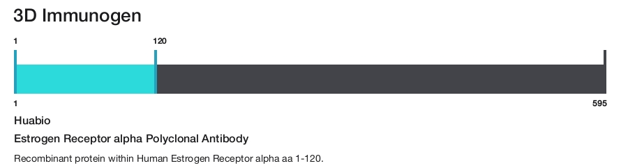 Estrogen Receptor alpha Polyclonal Antibody