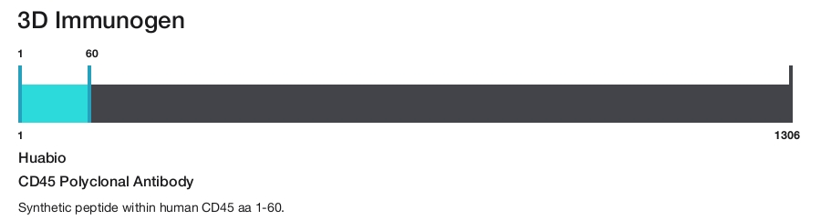 CD45 Polyclonal Antibody