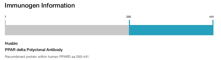 PPAR delta Polyclonal Antibody