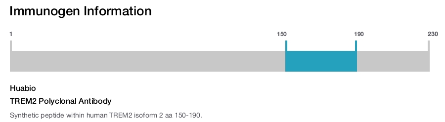 TREM2 Polyclonal Antibody