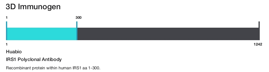 IRS1 Polyclonal Antibody