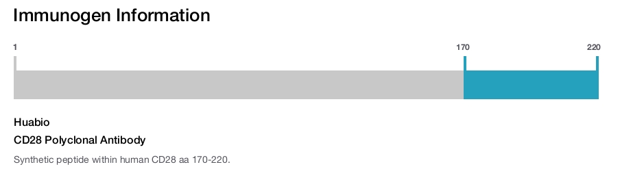 CD28 Polyclonal Antibody