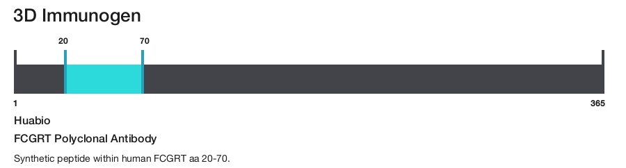 FCGRT Polyclonal Antibody