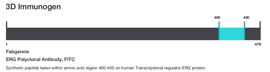 ERG Polyclonal Antibody, FITC