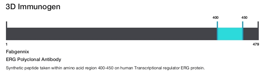 ERG Polyclonal Antibody