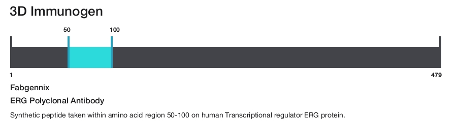 ERG Polyclonal Antibody