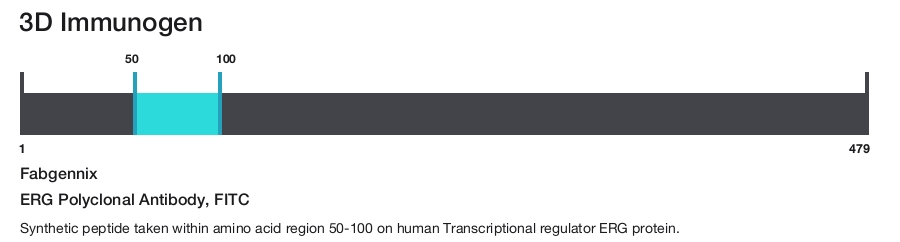 ERG Polyclonal Antibody, FITC