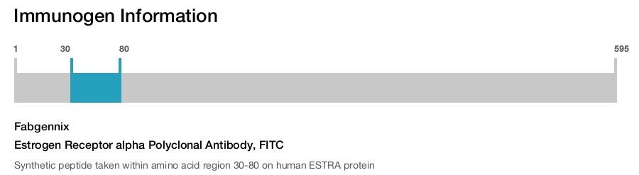 Estrogen Receptor alpha Polyclonal Antibody, FITC