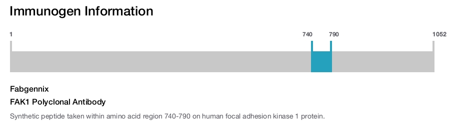 FAK1 Polyclonal Antibody