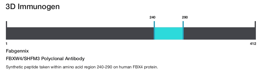 FBXW4/SHFM3 Polyclonal Antibody