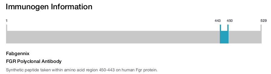 FGR Polyclonal Antibody