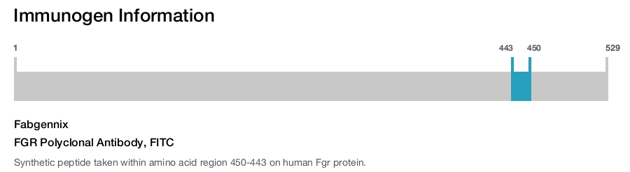 FGR Polyclonal Antibody, FITC
