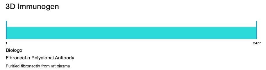 Fibronectin Polyclonal Antibody