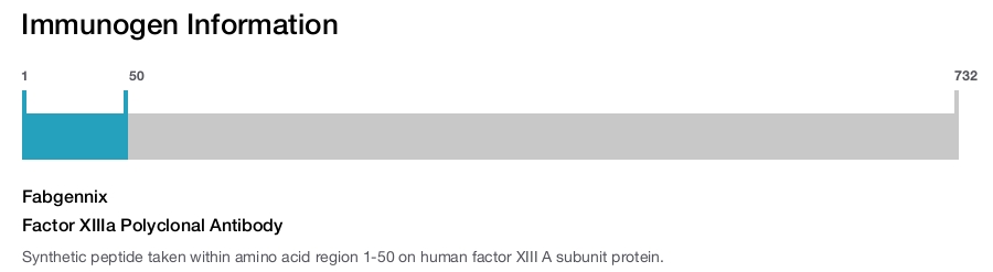 Factor XIIIa Polyclonal Antibody