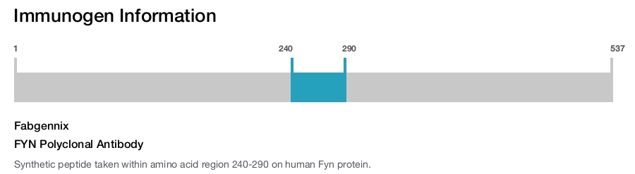 FYN Polyclonal Antibody