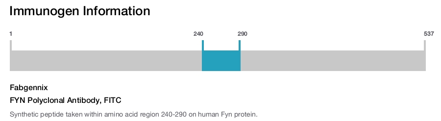 FYN Polyclonal Antibody, FITC