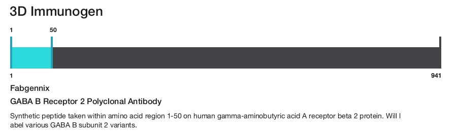 GABA B Receptor 2 Polyclonal Antibody