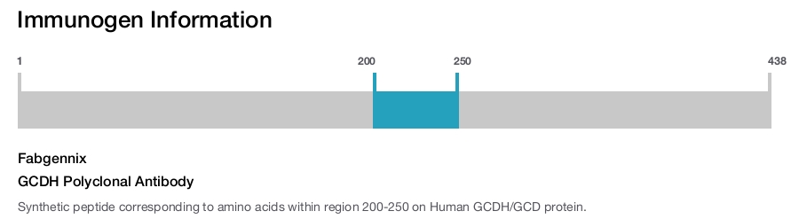 GCDH Polyclonal Antibody