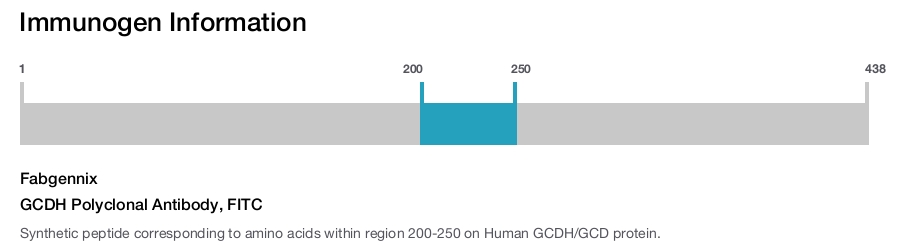 GCDH Polyclonal Antibody, FITC