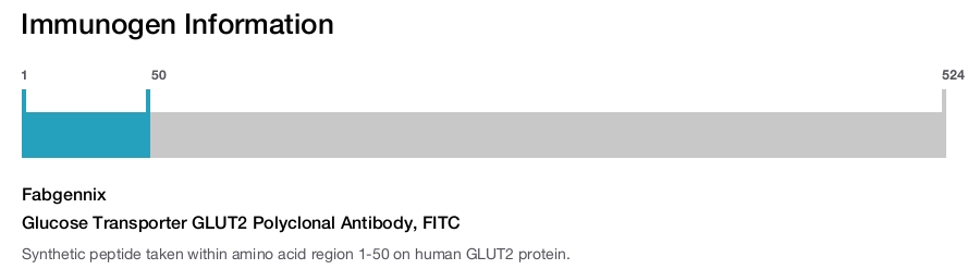 Glucose Transporter GLUT2 Polyclonal Antibody, FITC