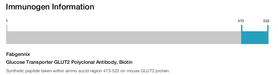 Glucose Transporter GLUT2 Polyclonal Antibody, Biotin