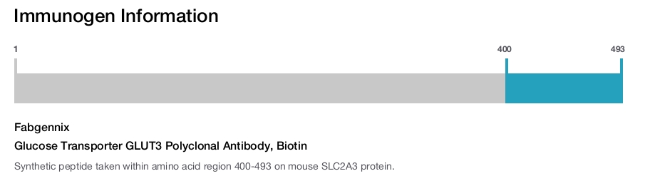 Glucose Transporter GLUT3 Polyclonal Antibody, Biotin