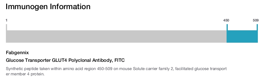 Glucose Transporter GLUT4 Polyclonal Antibody, FITC