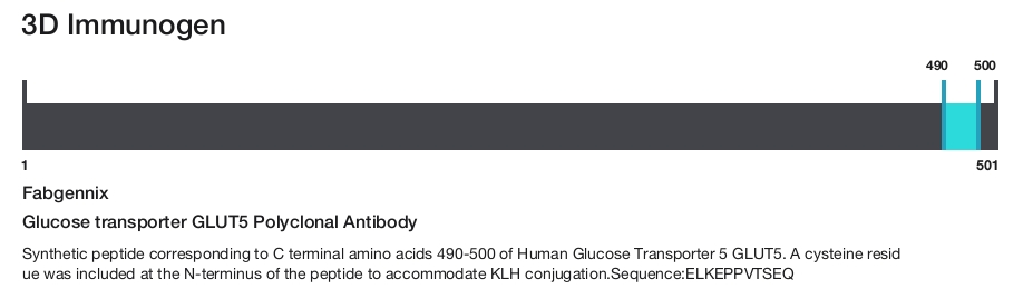 Glucose transporter GLUT5 Polyclonal Antibody
