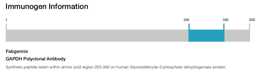 GAPDH Polyclonal Antibody