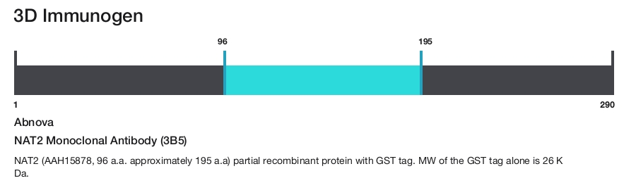 NAT2 Monoclonal Antibody (3B5)