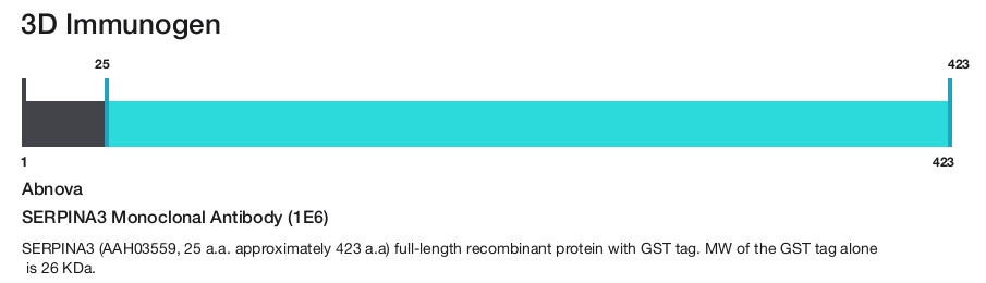 SERPINA3 Monoclonal Antibody (1E6)