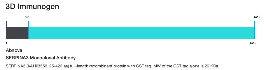 SERPINA3 Monoclonal Antibody