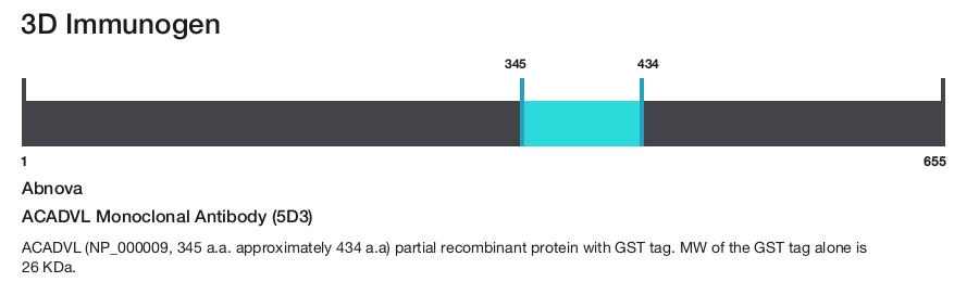ACADVL Monoclonal Antibody (5D3)