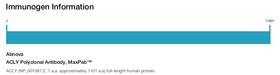 ACLY Polyclonal Antibody, MaxPab™