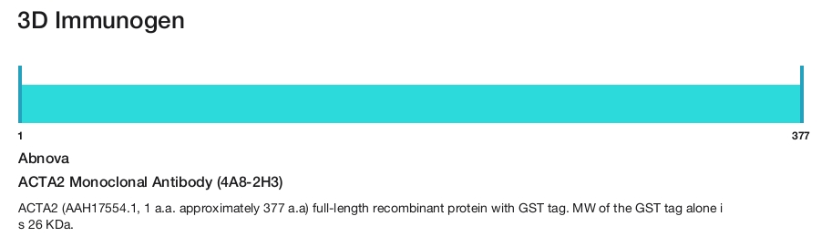 ACTA2 Monoclonal Antibody (4A8-2H3)