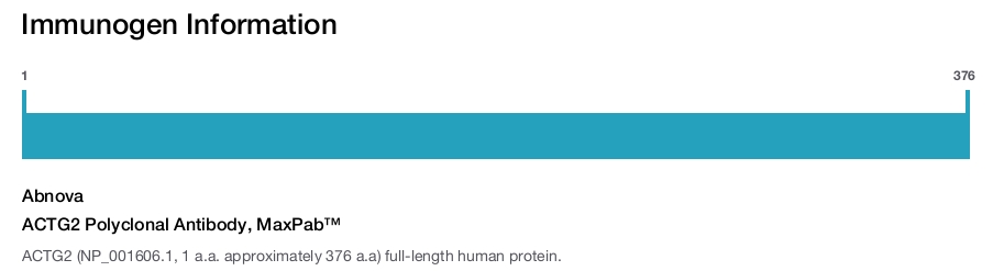 ACTG2 Polyclonal Antibody, MaxPab&trade;